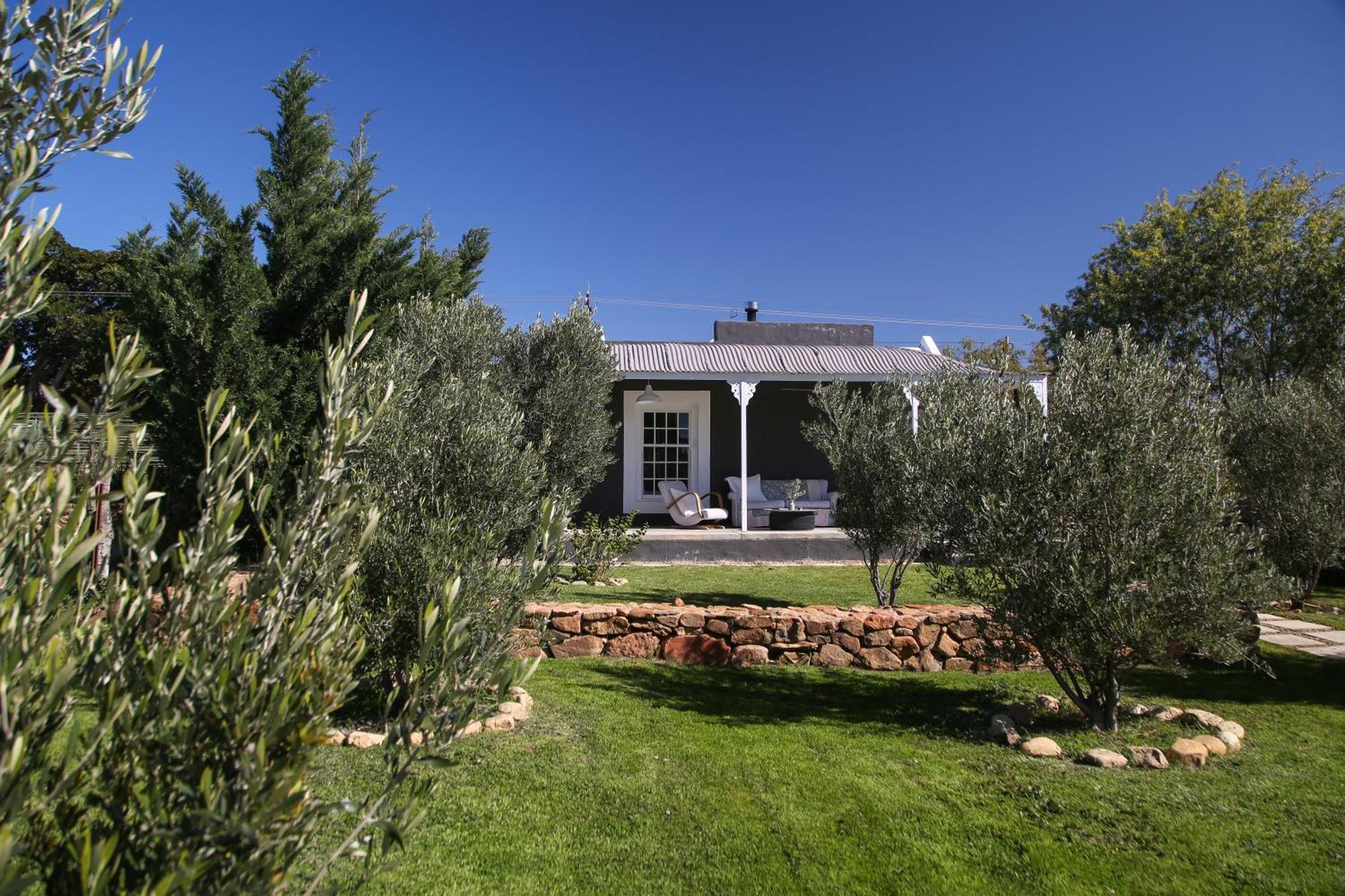 Hotel Olive Grove House à Prince Albert Extérieur photo